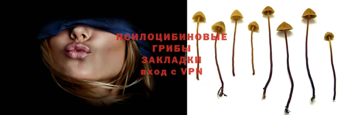 амф Верея