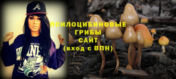 гашик Верхний Тагил