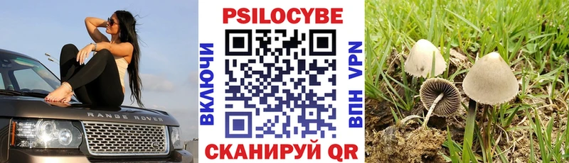 мориарти как зайти  Гремячинск  Псилоцибиновые грибы мухоморы  купить наркоту 